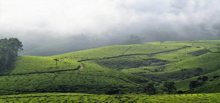 Munnar
