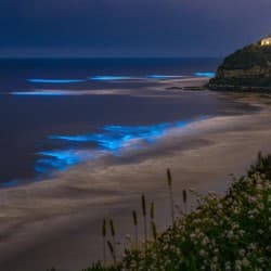 Betalbatim beach in Goa