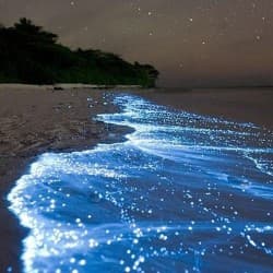 Bhangram Beach in Lakshadweep