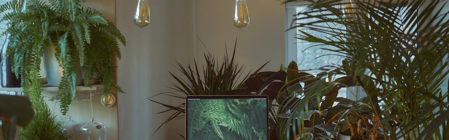 5 best workation destinations in india