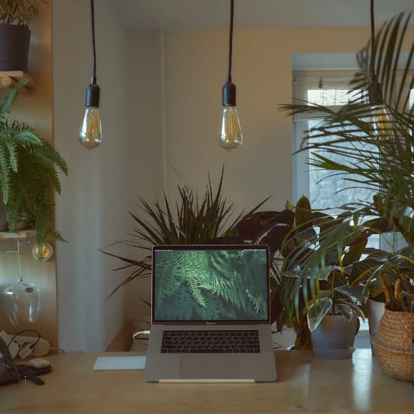 5 best workation destinations in india