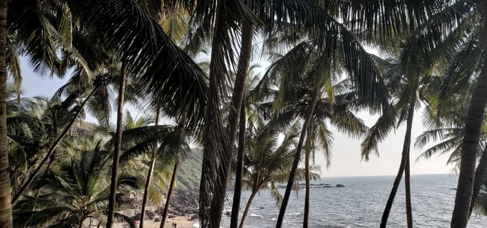 5 best workation destinations in india