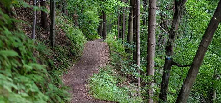 Explore Nature Trails