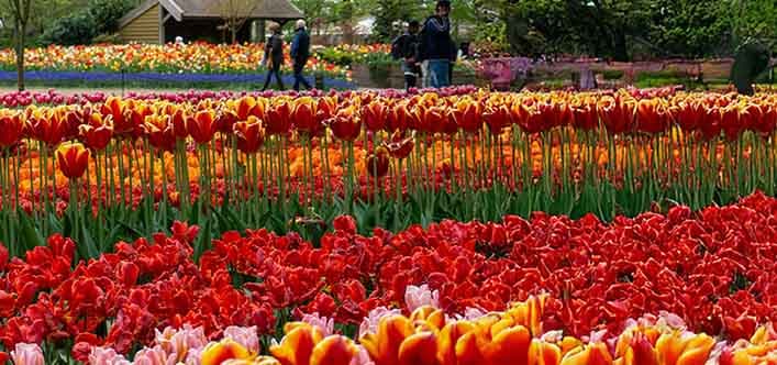 Easter in Amsterdam, Netherlands