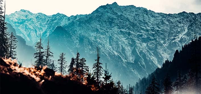 Manali, Himachal Pradesh