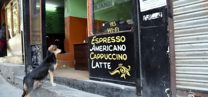 The Lazy Dog - Old Manali