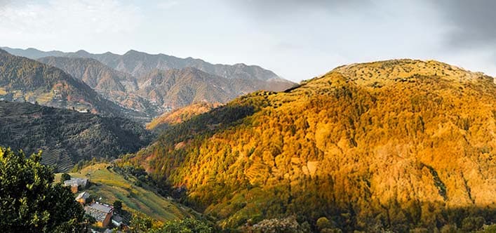 Almora, Mussorie, Nainital & Kausani, Uttarakhand