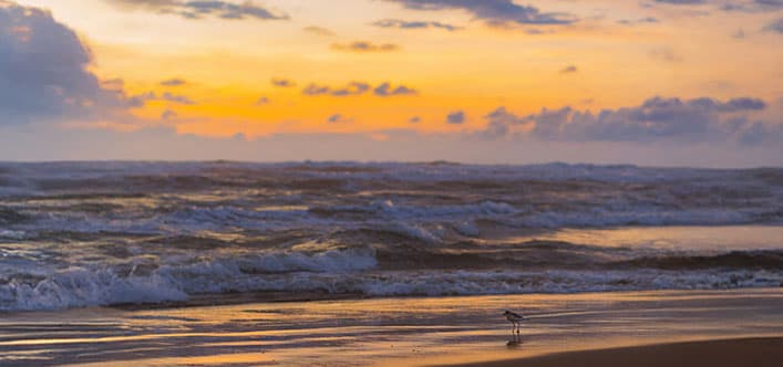 Kudremukh, Gokarna & Malvan, The Western Ghats