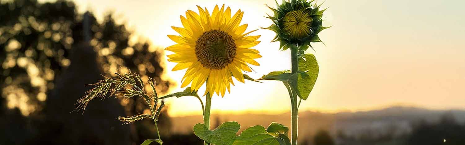 5-Summer-essentials-to-survive-the-May-heat