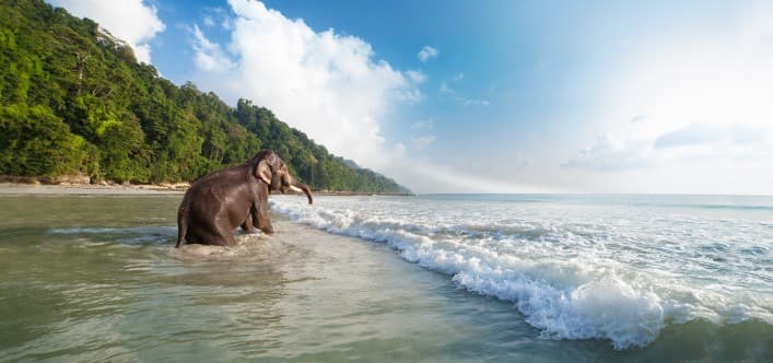 Havelock Island, Andaman