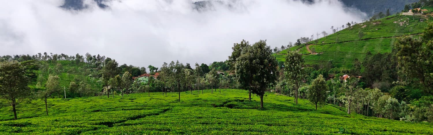 10-best-coonoor-resorts-for-a-dreamy-vacation