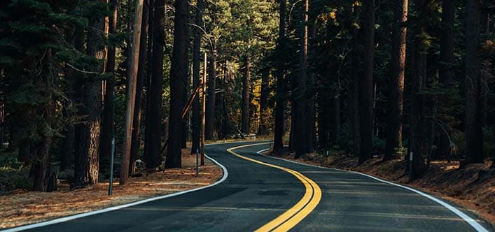 Embracing the Scenic Routes